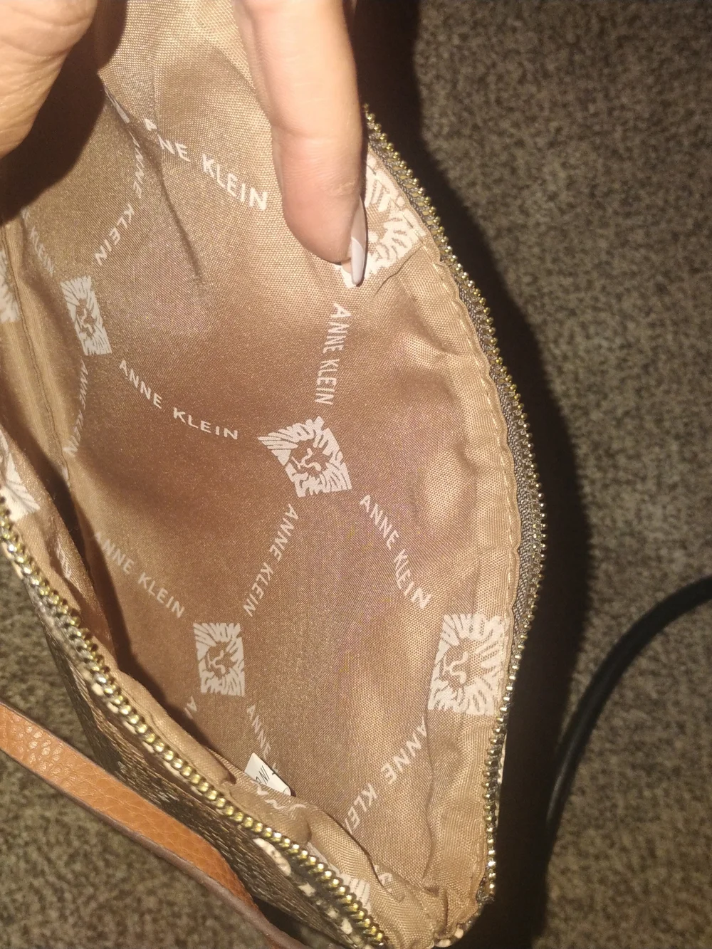 Anne Klein Snake-Print Cosmetic Bag in Brown and Tan